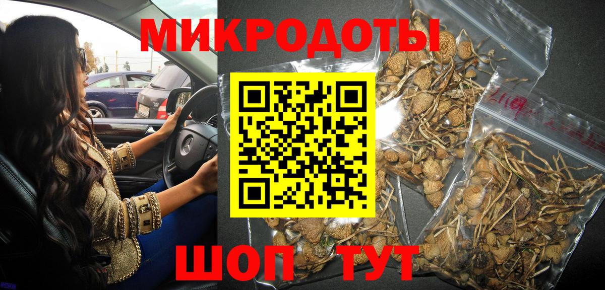 Галлюциногенные грибы прущие грибы Будённовск