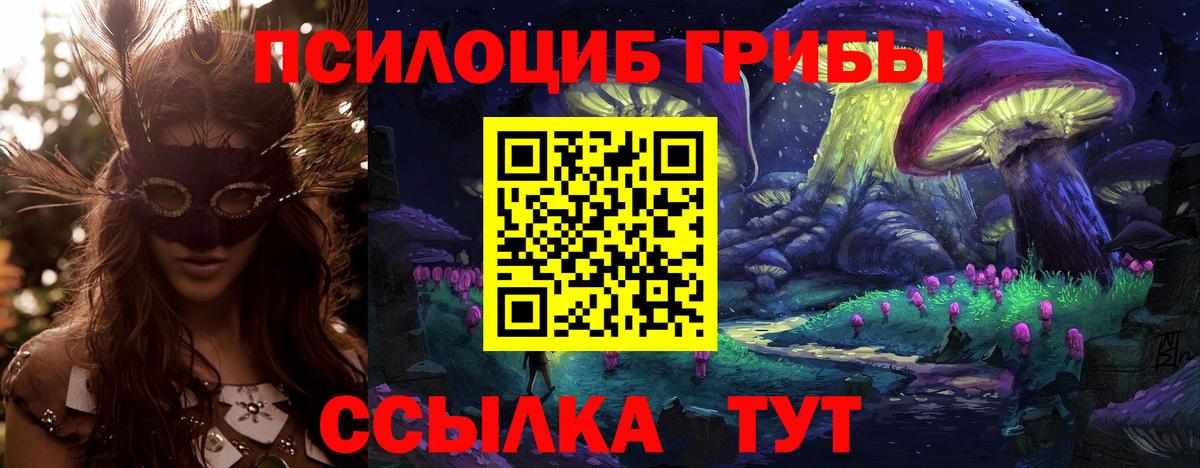 Будённовск  Псилоцибиновые грибы ЛСД  Вход с VPN  хочу   Псилоцибиновые грибы прущие грибы 
